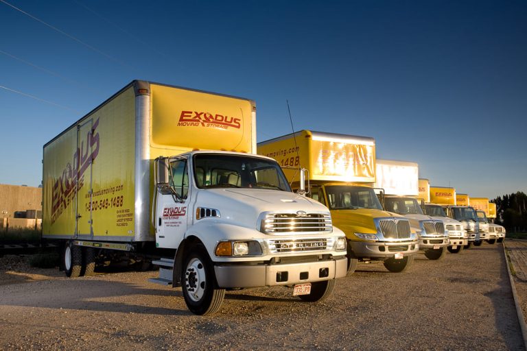 Five Exodus Moving & Storage trucks parked diagonally in a lit gravel lot with a blue sky.