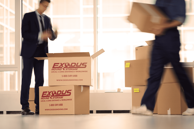 Two men in suits efficiently moving boxes in an office setting, showcasing professionalism of a moving company's office moving capabilities.