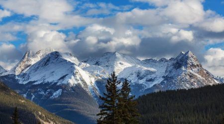 colorado-rockies